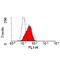 CD166 antigen antibody, MCA1926F, Bio-Rad (formerly AbD Serotec) , Flow Cytometry image 