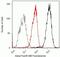 Protein Tyrosine Kinase 2 Beta antibody, 700183, Invitrogen Antibodies, Flow Cytometry image 