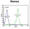 Paired Box 5 antibody, LS-C163390, Lifespan Biosciences, Flow Cytometry image 
