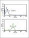 Methionine Sulfoxide Reductase A antibody, GTX81531, GeneTex, Flow Cytometry image 