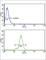 Interleukin 21 antibody, abx034164, Abbexa, Western Blot image 