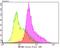 Inosine Monophosphate Dehydrogenase 2 antibody, NBP2-75541, Novus Biologicals, Flow Cytometry image 