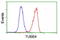 Tubulin Beta 4A Class IVa antibody, LS-B12927, Lifespan Biosciences, Flow Cytometry image 