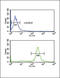 Fc Fragment Of IgG Receptor IIa antibody, LS-C166101, Lifespan Biosciences, Flow Cytometry image 