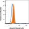 Actin Alpha 2, Smooth Muscle antibody, IC1420N, R&D Systems, Flow Cytometry image 