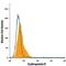 Erythropoietin Receptor antibody, FAB307F, R&D Systems, Flow Cytometry image 