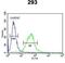 BCL6 Corepressor antibody, GTX81506, GeneTex, Flow Cytometry image 