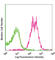 CD47 Molecule antibody, 127505, BioLegend, Flow Cytometry image 