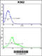 Sortilin Related VPS10 Domain Containing Receptor 1 antibody, 63-617, ProSci, Flow Cytometry image 