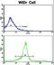 Kinesin Light Chain 1 antibody, LS-B13757, Lifespan Biosciences, Flow Cytometry image 