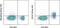 Interleukin 7 Receptor antibody, 48-1271-82, Invitrogen Antibodies, Flow Cytometry image 
