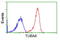 Tubulin Alpha 8 antibody, GTX83461, GeneTex, Flow Cytometry image 