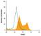 Eomesodermin antibody, AF6166, R&D Systems, Flow Cytometry image 