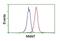 Nicotinamide N-Methyltransferase antibody, NBP2-00537, Novus Biologicals, Flow Cytometry image 