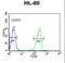 Leucine Rich Alpha-2-Glycoprotein 1 antibody, LS-C165864, Lifespan Biosciences, Flow Cytometry image 