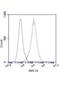 Structural Maintenance Of Chromosomes 1A antibody, LS-C178300, Lifespan Biosciences, Flow Cytometry image 