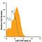 TGF beta antibody, FAB2463N, R&D Systems, Flow Cytometry image 
