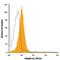 Integrin Subunit Alpha L antibody, FAB3595F, R&D Systems, Flow Cytometry image 