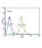 Tryptophan Hydroxylase 2 antibody, abx034260, Abbexa, Flow Cytometry image 