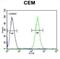 Brevican antibody, abx032663, Abbexa, Flow Cytometry image 