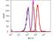 Ribosomal Protein S6 Kinase B1 antibody, 701083, Invitrogen Antibodies, Flow Cytometry image 