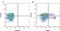 Thy-1 Cell Surface Antigen antibody, MCA47PE, Bio-Rad (formerly AbD Serotec) , Flow Cytometry image 