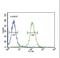 Neuropeptide VF Precursor antibody, LS-C162958, Lifespan Biosciences, Flow Cytometry image 