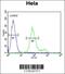 Sulfatase Modifying Factor 1 antibody, 64-212, ProSci, Flow Cytometry image 