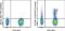 C-C Motif Chemokine Receptor 5 (Gene/Pseudogene) antibody, 25-1956-42, Invitrogen Antibodies, Flow Cytometry image 