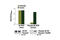 Colony Stimulating Factor 1 Receptor antibody, 13491S, Cell Signaling Technology, Enzyme Linked Immunosorbent Assay image 