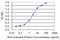 TEA Domain Transcription Factor 3 antibody, LS-C198322, Lifespan Biosciences, Enzyme Linked Immunosorbent Assay image 