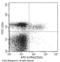 IL2RA antibody, 50292-R051-A, Sino Biological, Flow Cytometry image 