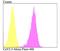  antibody, NBP2-76923, Novus Biologicals, Flow Cytometry image 