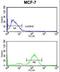 Junction Plakoglobin antibody, LS-C165378, Lifespan Biosciences, Flow Cytometry image 