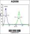 GRB2 Associated Binding Protein Family Member 4 antibody, 55-889, ProSci, Flow Cytometry image 