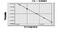 Calpain Small Subunit 2 antibody, MBS7222379, MyBioSource, Enzyme Linked Immunosorbent Assay image 