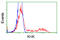 Ketohexokinase antibody, LS-C115291, Lifespan Biosciences, Flow Cytometry image 