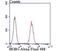 POU Class 2 Homeobox Associating Factor 1 antibody, NBP2-76913, Novus Biologicals, Flow Cytometry image 