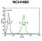 Sestrin 1 antibody, abx033574, Abbexa, Flow Cytometry image 