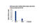 Signal Transducer And Activator Of Transcription 4 antibody, 4134S, Cell Signaling Technology, Chromatin Immunoprecipitation image 