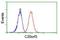 Adipocyte Plasma Membrane Associated Protein antibody, NBP2-01716, Novus Biologicals, Flow Cytometry image 