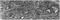 Matrix Metallopeptidase 2 antibody, MBS395066, MyBioSource, Immunohistochemistry frozen image 