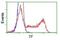 Transferrin antibody, NBP2-02264, Novus Biologicals, Flow Cytometry image 