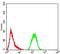 Glutamine--Fructose-6-Phosphate Transaminase 1 antibody, NBP2-52474, Novus Biologicals, Flow Cytometry image 