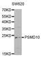Proteasome 26S Subunit, Non-ATPase 10 antibody, LS-C331784, Lifespan Biosciences, Western Blot image 