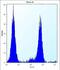 Chondroitin Sulfate Synthase 1 antibody, abx027484, Abbexa, Western Blot image 