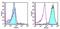 TNF Receptor Superfamily Member 12A antibody, 12-9018-42, Invitrogen Antibodies, Flow Cytometry image 