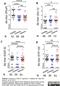 Immunoglobulin Heavy Constant Gamma 2 (G2m Marker) antibody, STAR90F, Bio-Rad (formerly AbD Serotec) , Enzyme Linked Immunosorbent Assay image 