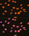 Heterogeneous Nuclear Ribonucleoprotein U antibody, GTX02839, GeneTex, Immunofluorescence image 