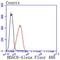 Histone Deacetylase 8 antibody, NBP2-67824, Novus Biologicals, Flow Cytometry image 